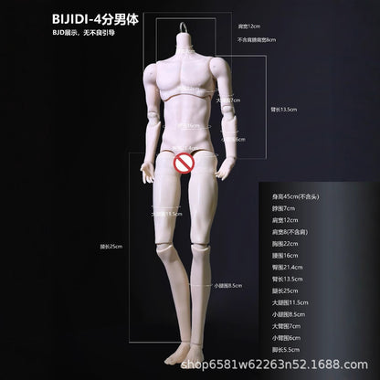 Doll Body