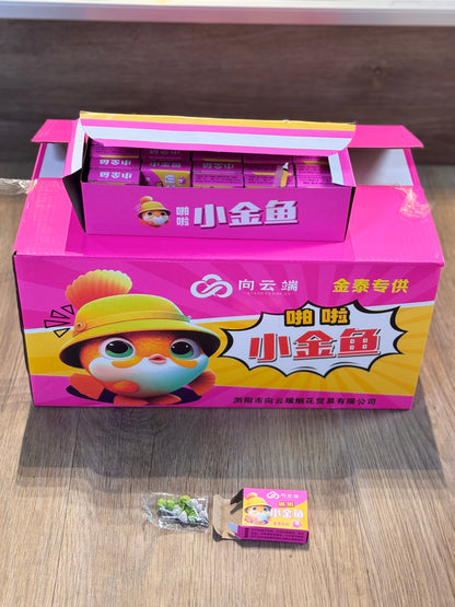 小金鱼12大盒 一盒15元