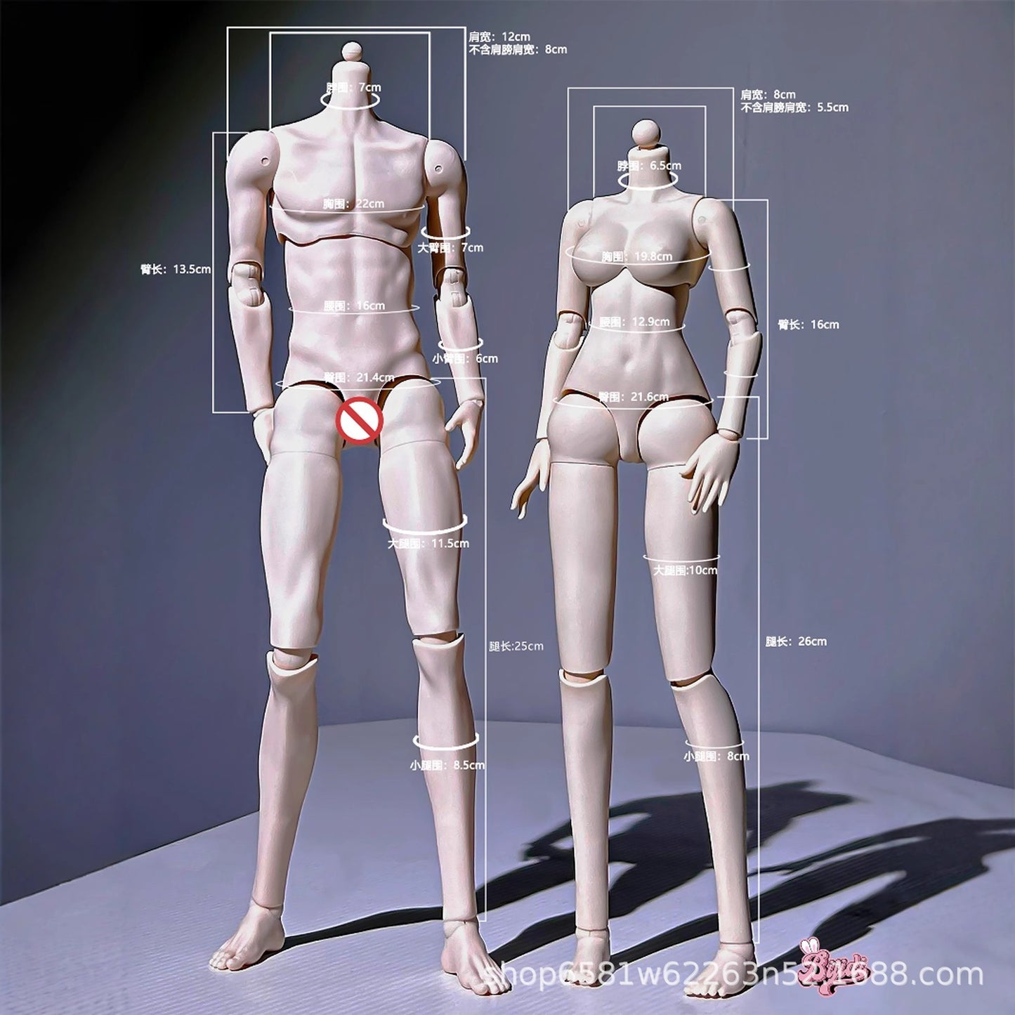 Doll Body
