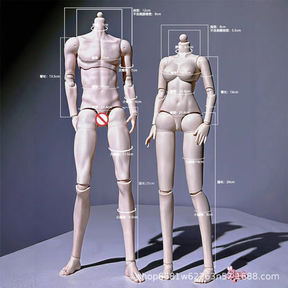 Doll Body